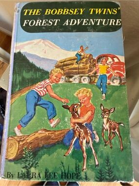 The Bobbsey Twins' Forest Adventure - Classic Book